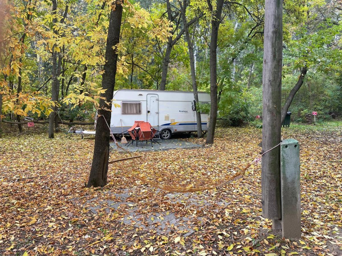 Tisza-Beach Wild Camping 5 Szeged Luaran gambar