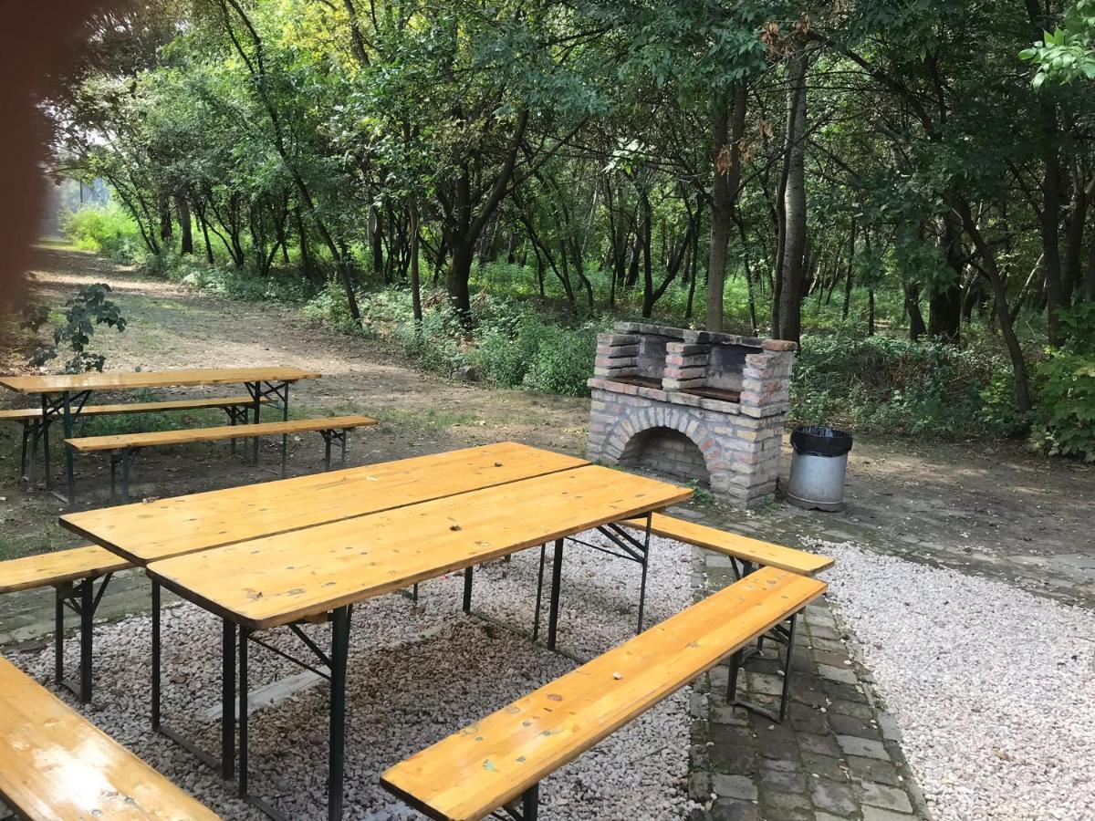 Tisza-Beach Wild Camping 5 Szeged Luaran gambar